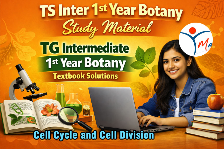 TS Inter 1st Year Botany Study Material Chapter 11 Cell Cycle And Cell Division