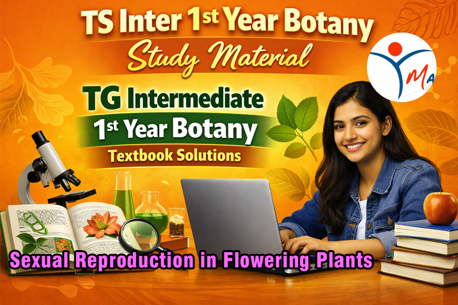 TS Inter 1st Year Botany Study Material Chapter 7 Sexual Reproduction in Flowering Plants