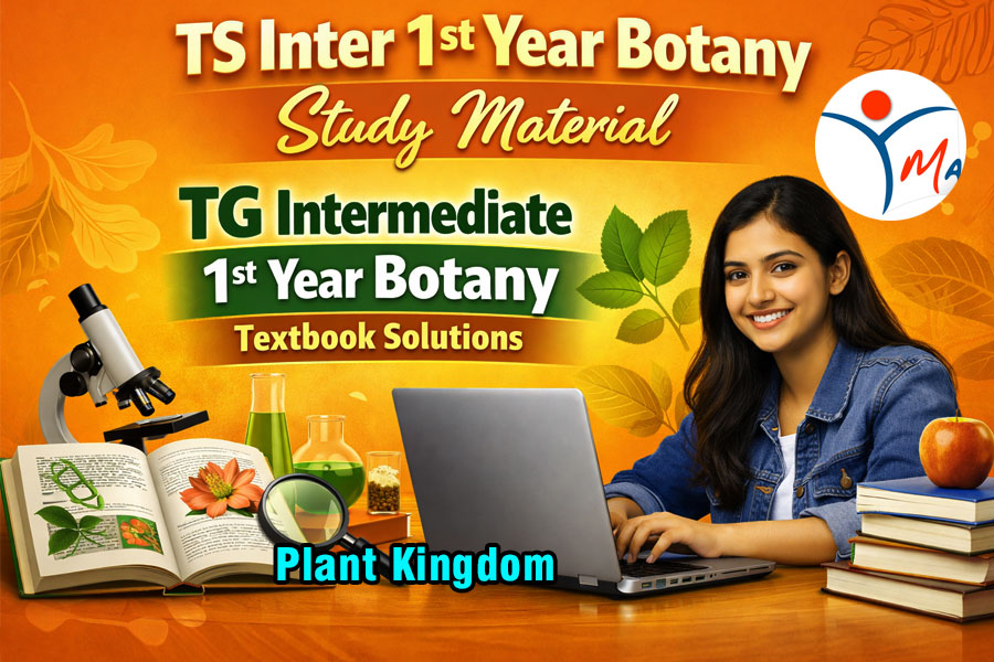 TS Inter 1st Year Botany Study Material Chapter 4 Plant Kingdom